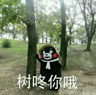 树咚你哦