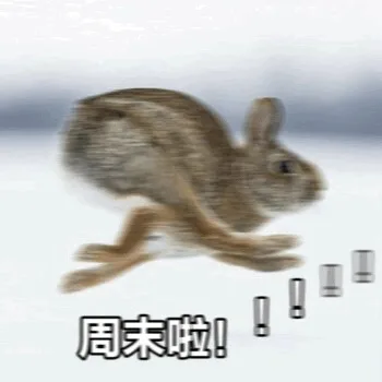 周末啦!(奔跑的兔子)