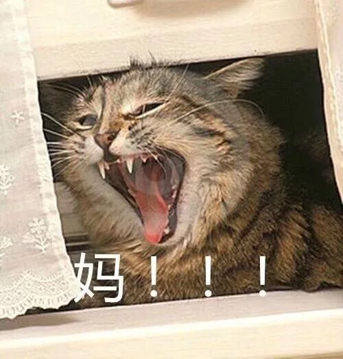 妈！！！（喵星人）（妈！！！（喵星人））