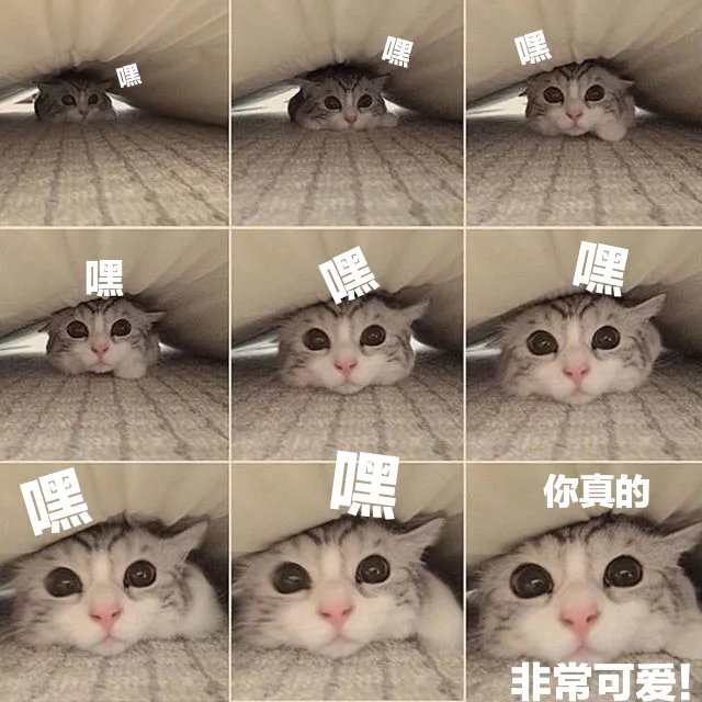 嘿嘿嘿嘿嘿嘿你真的非常可爱!