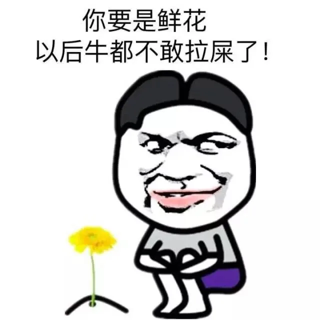 装逼表情一波表情包