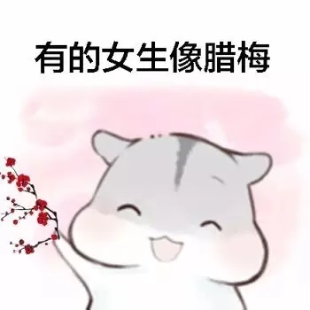 有的女生像腊梅