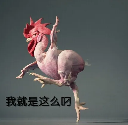 我就是这么叼