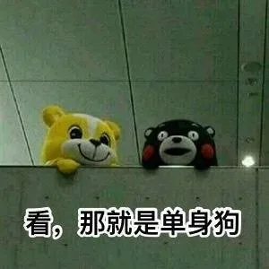 一组柴犬doge微信表情_柴犬_doge表情包