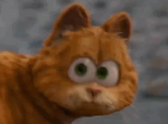 一组卡通橘猫动图表情包_加菲猫_卡通表情包