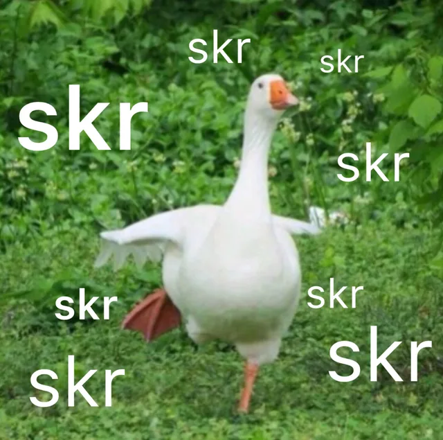 skr skr skr 《中国新说唱》（skr skr skr 《中国新说唱》）