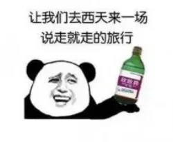 让我们去西天来一场说走就走的旅行（让我们去西天来一场说走就走的旅行）