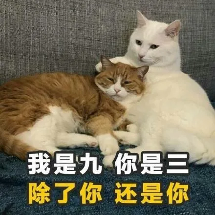 我是九你是除了你还是你（我是九你是除了你还是你）