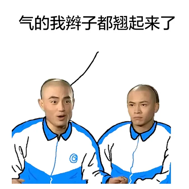 气的我辫子都翘起来了（气的我辫子都翘起来了）