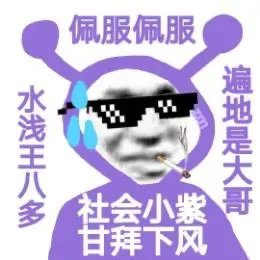 佩服佩服水浅王八多遍地是大哥社会小紫甘拜下风