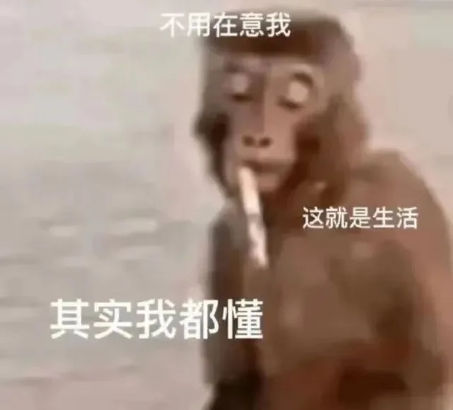 不用在意我这就是生活其实我都懂（不用在意我这就是生活其实我都懂）