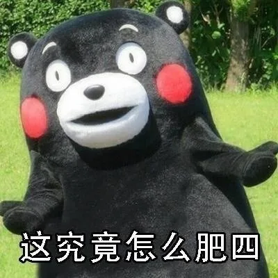 这究竟怎么肥四（这究竟怎么肥四）