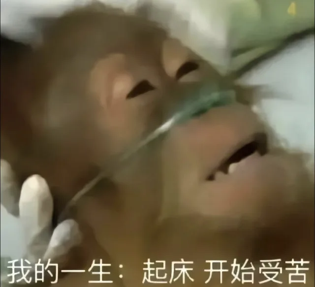 我的一生：起床开始受苦（我的一生：起床开始受苦）
