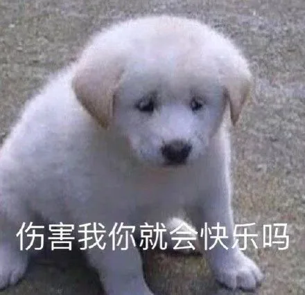 伤害我你就会快乐吗（伤害我你就会快乐吗）
