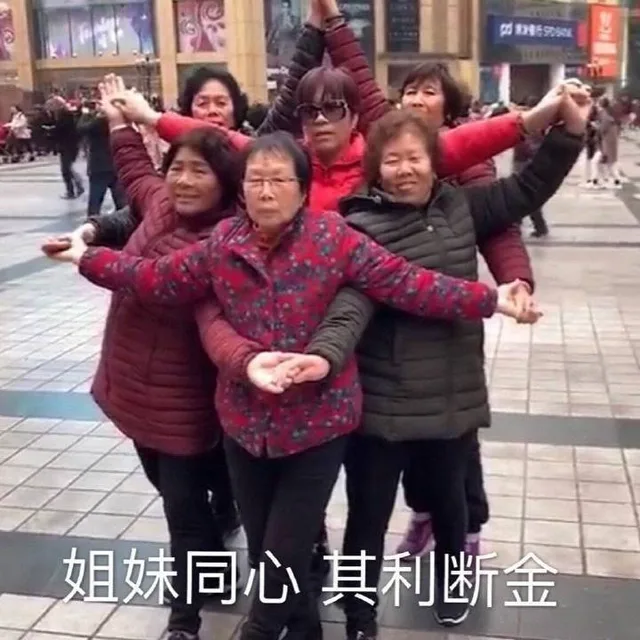 姐妹同心 其利断金（姐妹同心 其利断金）