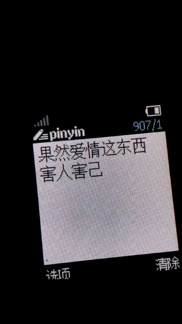 果然爱情这东西害人害已