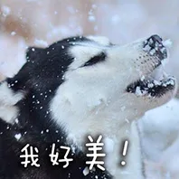 我好美！（我好美！）