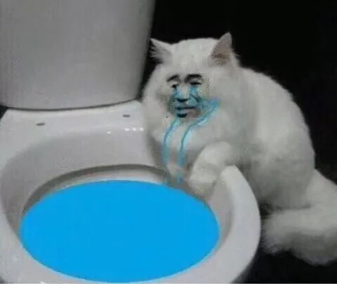 伤心，哭满整个马桶