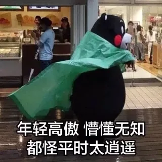 年轻高傲，懵懂无知，都怪平时太逍遥