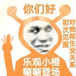 乐观小橙表情包（ Cr: 猪曼）