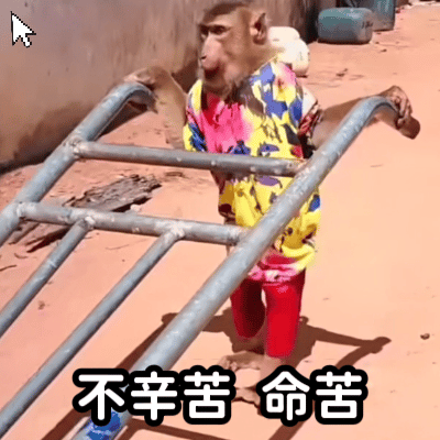 不辛苦命苦(吗喽表情包)（不辛苦命苦(吗喽表情包)）