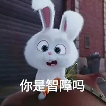 你是智障吗（你是智障吗）