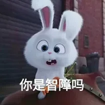 你是智障吗