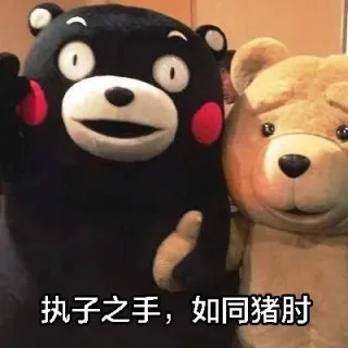 执子之手，如同猪肘