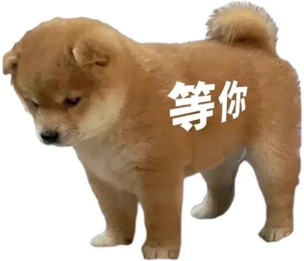 等你