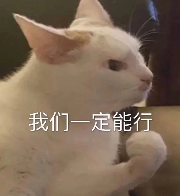 我们一定能行（我们一定能行）