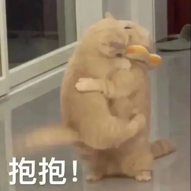 抱抱！（抱抱！）