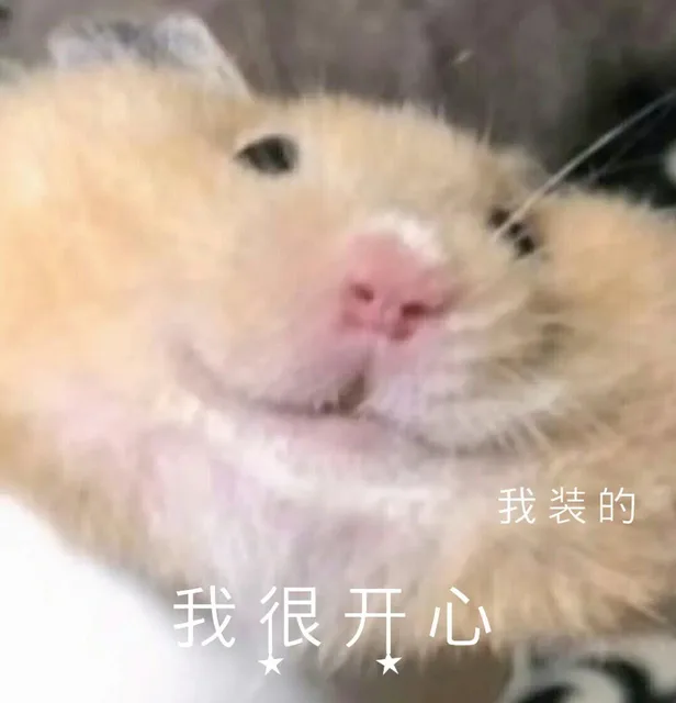 我装的我很开心★（我装的我很开心★）