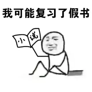 我可能复习了假书