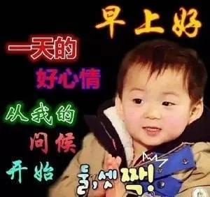 早上好 一天的好心情从我的问候开始