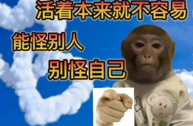 活着本来就不容易能怪别人别怪自己(吗喽表情包)（活着本来就不容易能怪别人别怪自己(吗喽表情包)）