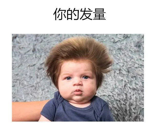 你的发量