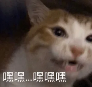 嘿嘿嘿