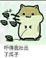 吓得我吐出了瓜子