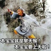 本宝宝就是窜天猴！本宝宝要上天啦！