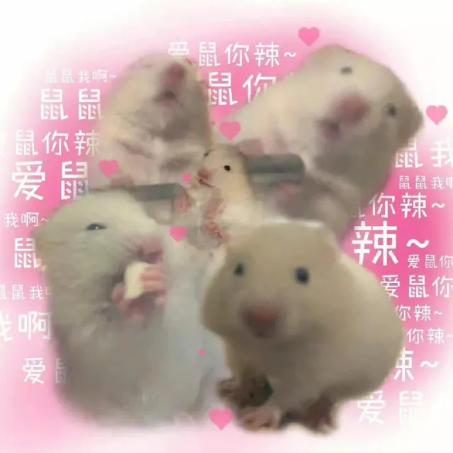 爱鼠你辣~鼠鼠我啊~你鼠你辣鼠鼠我你辣~我啊辣~爱鼠你爱鼠你爱你辣~吸你辣（爱鼠你辣~鼠鼠我啊~你鼠你辣鼠鼠我你辣~我啊辣~爱鼠你爱鼠你爱你辣~吸你辣）
