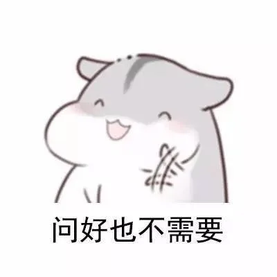 问好也不需要（问好也不需要）