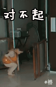 对不起 我跪下了