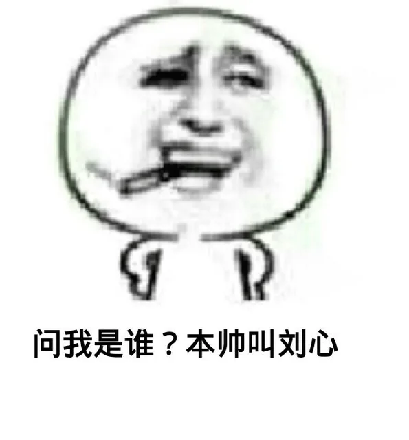 问我是谁？本帅就刘心（问我是谁？本帅就刘心）