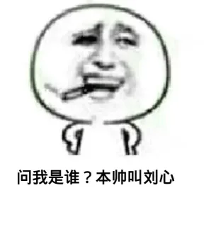 问我是谁？本帅就刘心
