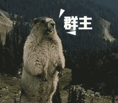 土拨鼠呐喊表情包_土拨鼠_呐喊_动图