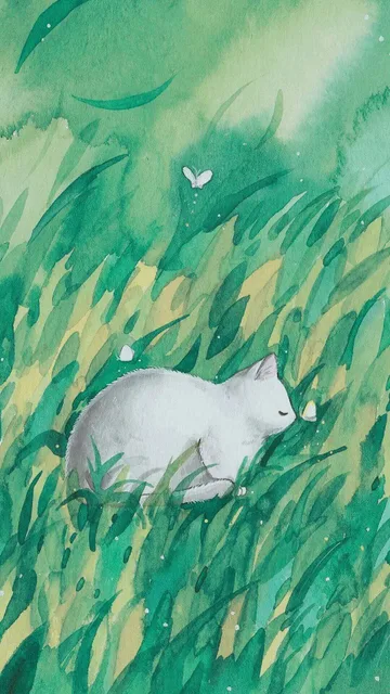 手机壁纸