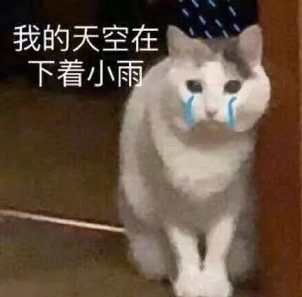 我的天空在下着小雨