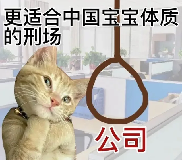 更 适 合 中 国 宝 宝 体 质 的 表 情 包
