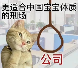 更 适 合 中 国 宝 宝 体 质 的 表 情 包表情包