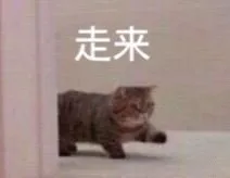 走来（走来）
